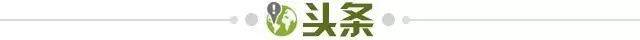 云开体育官网入口-【早报】津门虎原地复活？还计划“狮“口夺人？